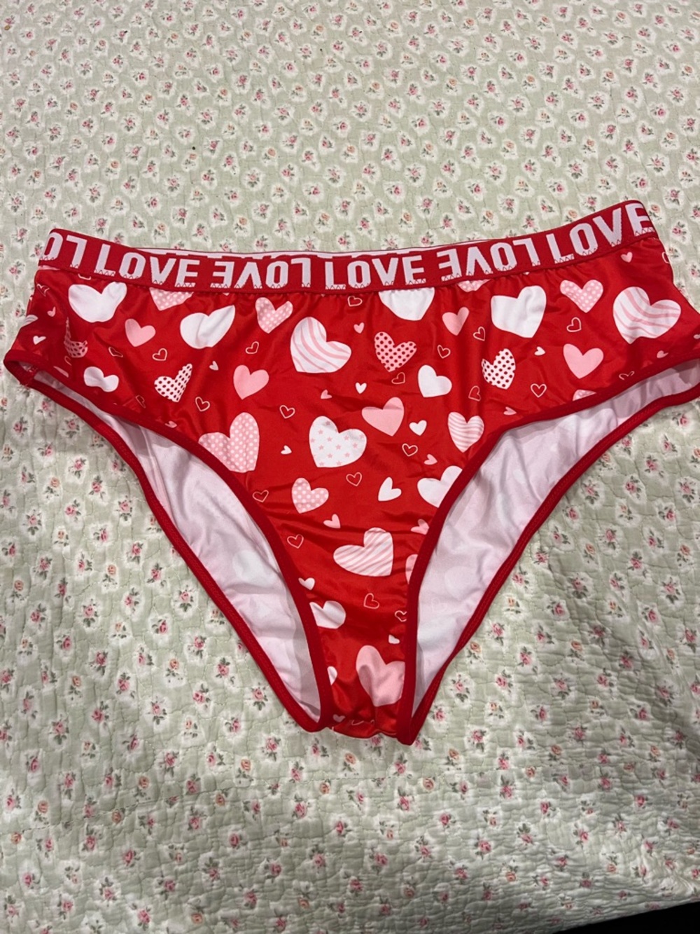 Love Red Heart Bikini Briefs with White Heart Accents